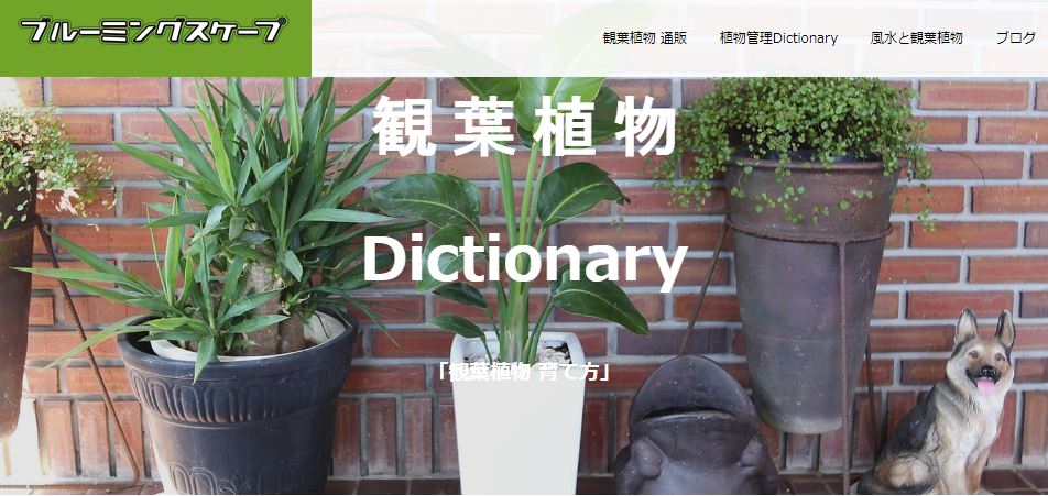 >観葉植物 Dictionary