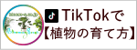 u[~OXP[v TikTok